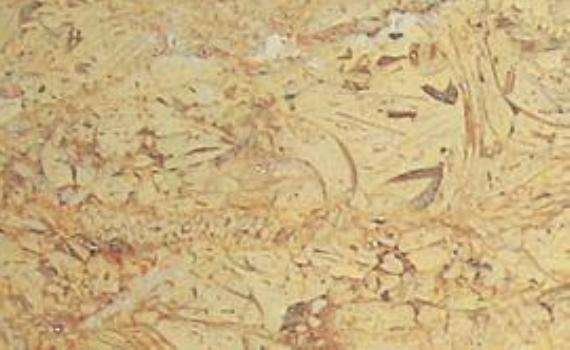 perlato svevo golden yellow 6676
