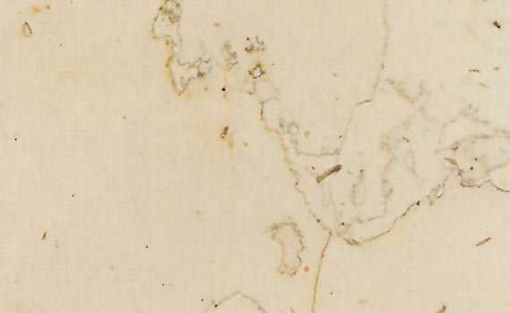 perlino bianco al verso 2732