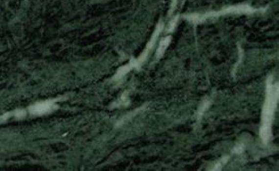 pine green light 6270