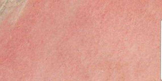 pink strong 4760