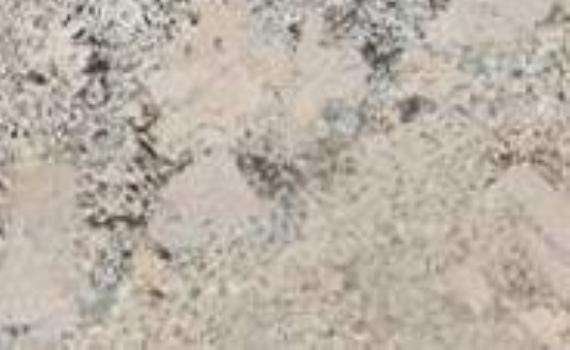 Pirineus pirineus 5572