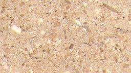 plympic beige 3757
