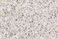 Polae White Granite polae white 1895