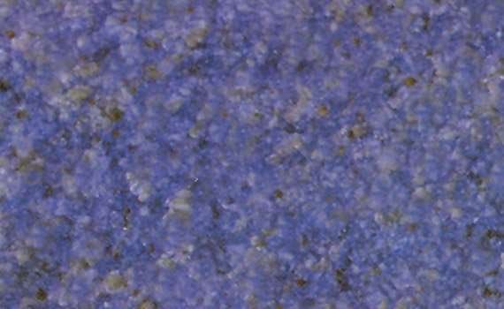 polar royal vivid 2874