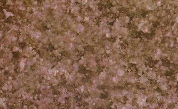 polar vino vivid 2878