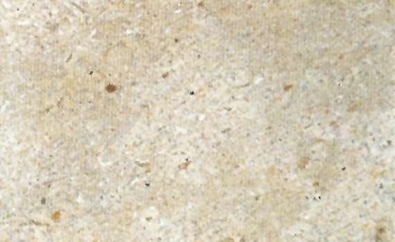 princess gold 1597