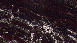 purple boreale 3977