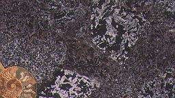 purple graphic 3957