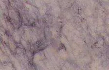 purple web 4594