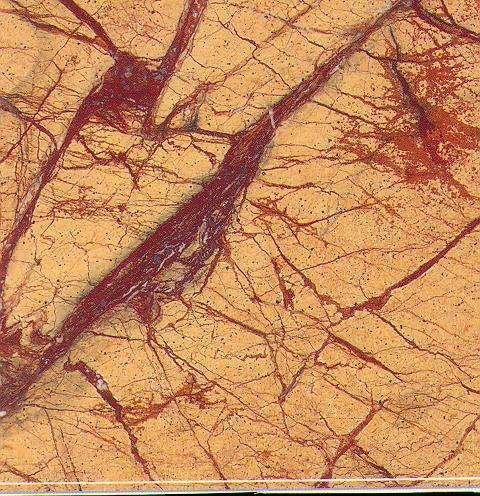 rainforest yellow 1699