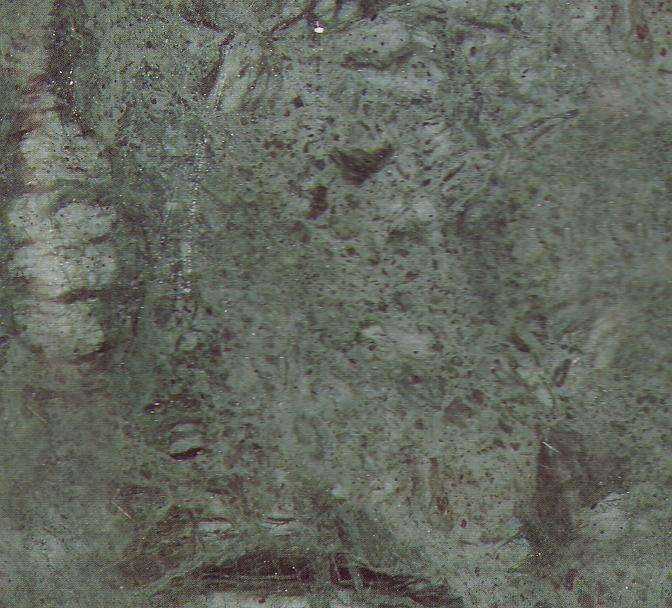 rajastan green 2167