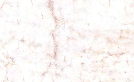 red cream 3553