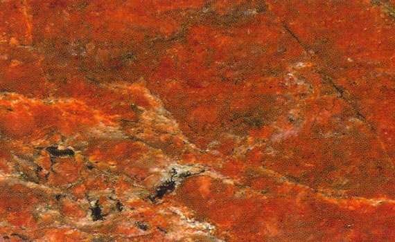 red hollywood 1715