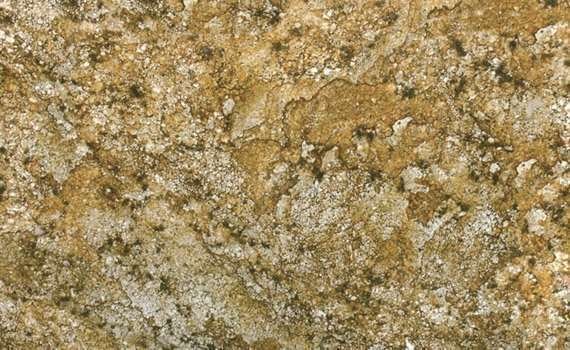 Romano Light Gold Granite romano gold 246