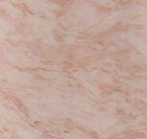 rosa jasmine 3254