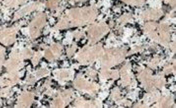 rosavel 5605