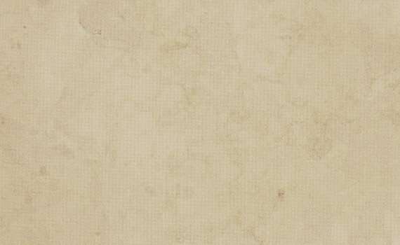 Rose de Bourgogne Marble rose de bourgogne 2217