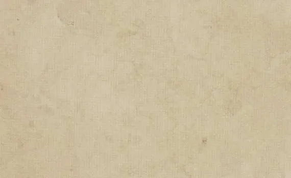 Rose de Bourgogne Marble rose de bourgogne 2217