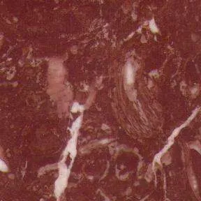 rosso daniel 3260
