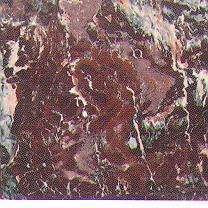 rosso fiorentino 3027