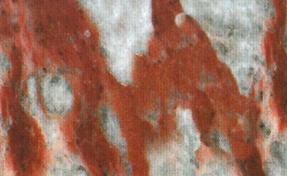 rosso francia torquin 1356