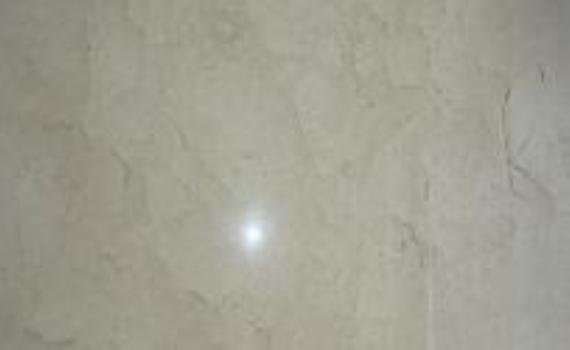 royal marfil 6186