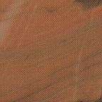salmon 3084
