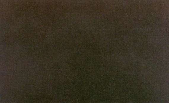 santa angelica black 520