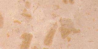 saudi beige 4607