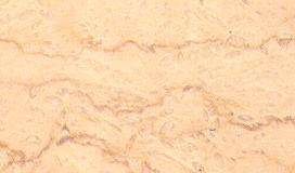 selvia dark 3686