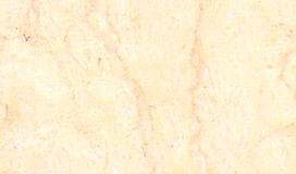 selvia light 3705