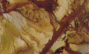 sequoia 4263