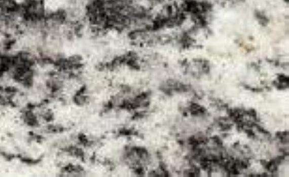 serizzo formazza 5964