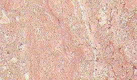 serpenggiante 4053