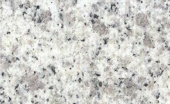 sesame grain laizhou 4871