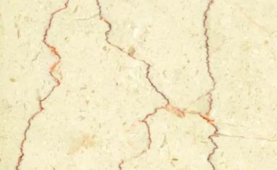 shell beige 1985