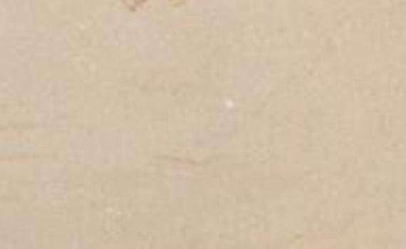 shunhua cream 5655
