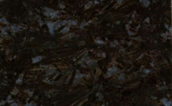 siluoutte black 2116