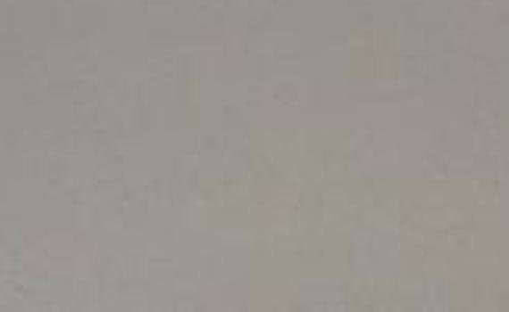 Silver Quartzite silver quartzite 5865