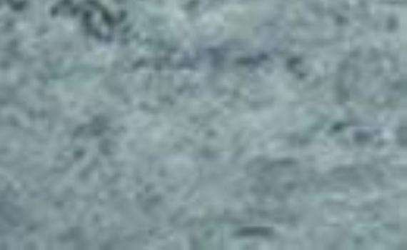 silver surf 5910