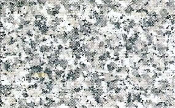 silvery rose 5023