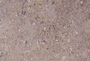 sinai grey 3547