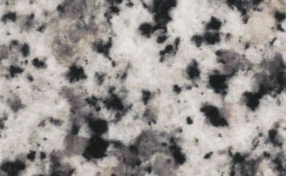 snow leopard 829