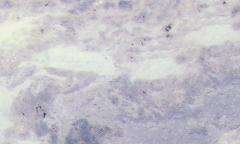 sparkling blue 3503