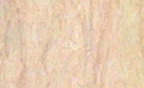sunny cream 7082