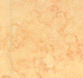 sunny medium 3110