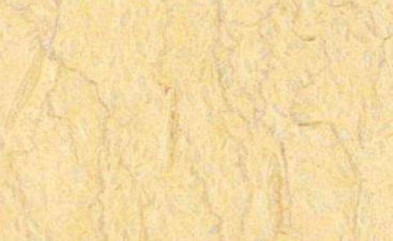 sylvia gold 7582