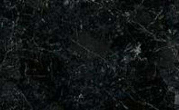 Taillon Black taillon black 6039