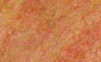 terra red 3786