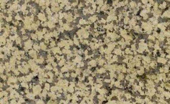 Tian Shan tian shan yellow 7669